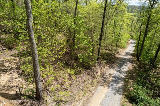 Little Sycamore Rd, Tazewell, TN 37879 - photo 25
