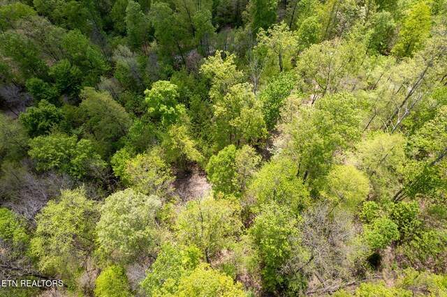 Little Sycamore Rd, Tazewell, TN 37879 - photo 27