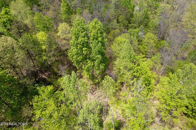 Little Sycamore Rd, Tazewell, TN 37879 - photo 28
