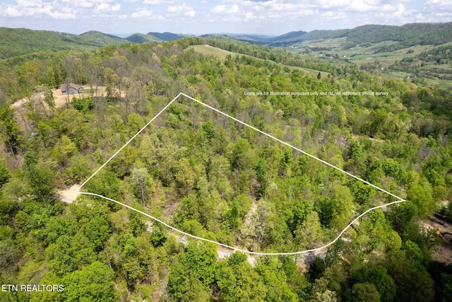 Little Sycamore Rd, Tazewell, TN 37879 - photo 33