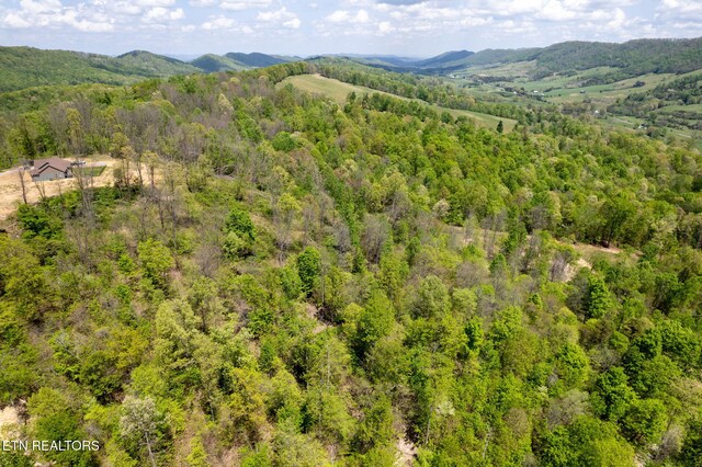 Little Sycamore Rd, Tazewell, TN 37879 - photo 30
