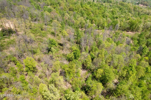 Little Sycamore Rd, Tazewell, TN 37879 - photo 31