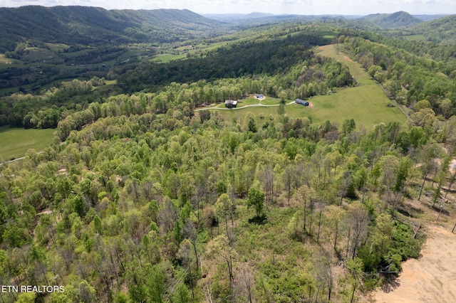 Little Sycamore Rd, Tazewell, TN 37879 - photo 32