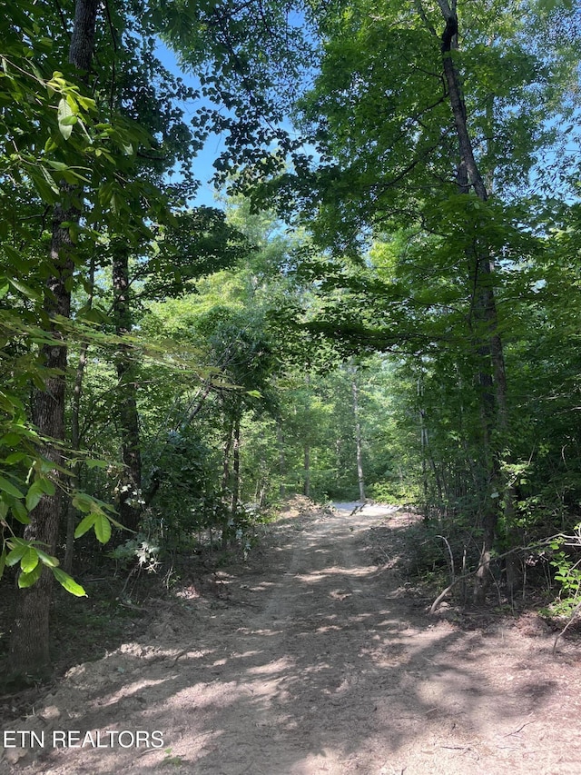 Little Sycamore Rd, Tazewell, TN 37879 - photo 3