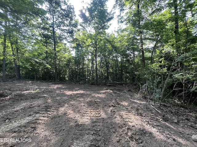Little Sycamore Rd, Tazewell, TN 37879 - photo 4