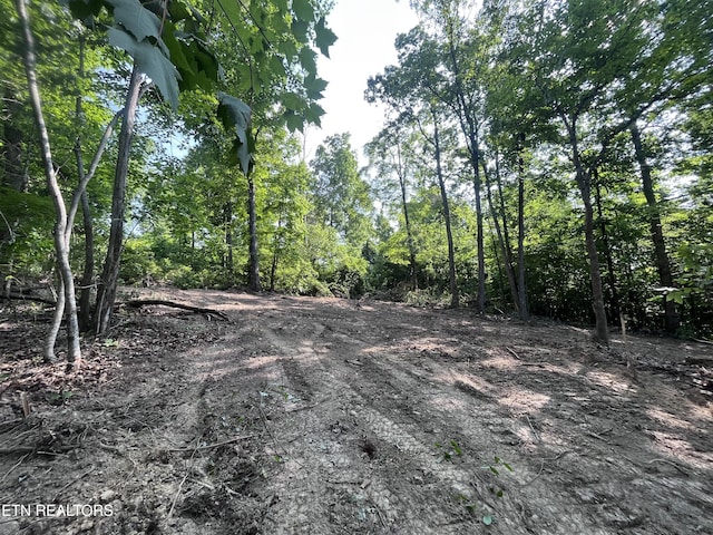 Little Sycamore Rd, Tazewell, TN 37879 - photo 7