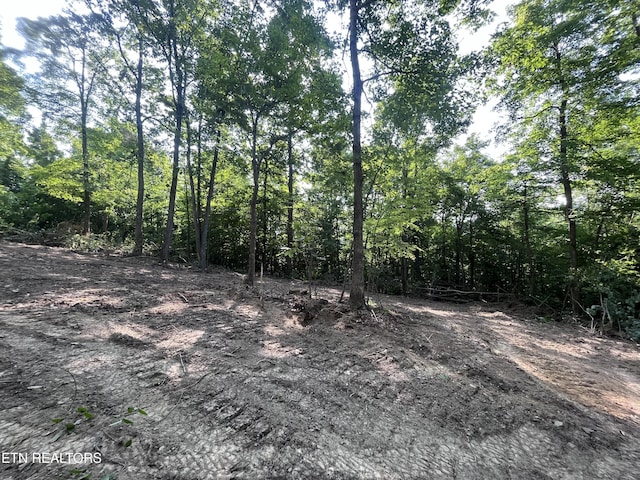 Little Sycamore Rd, Tazewell, TN 37879 - photo 6