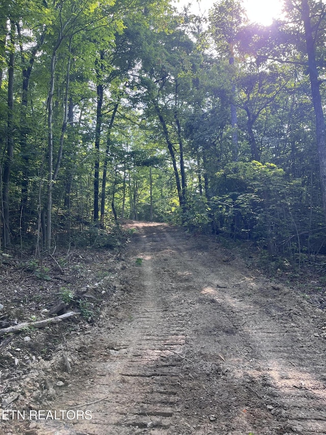 Little Sycamore Rd, Tazewell, TN 37879 - photo 2