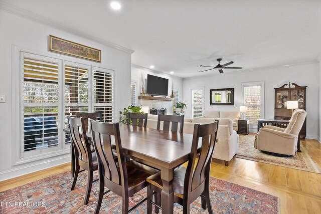 dining space featuring ceiling fan, a fireplace, ornamental molding, and light wood-type flooring