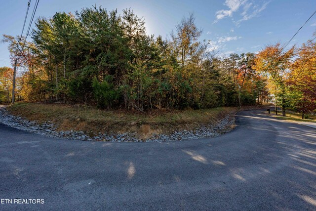 1609 Sequoyah Dr, Mooresburg, TN 37811