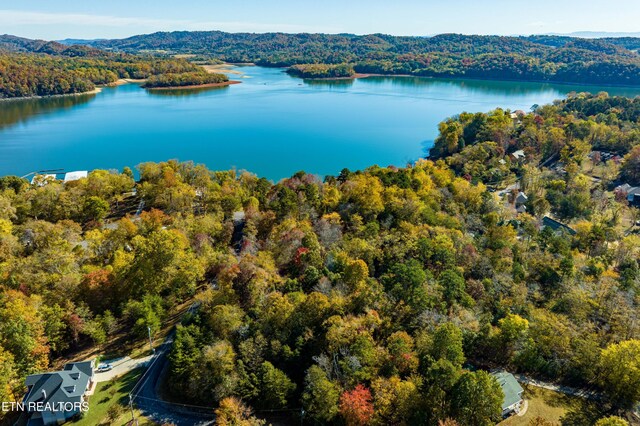 1609 Sequoyah Dr, Mooresburg, TN 37811