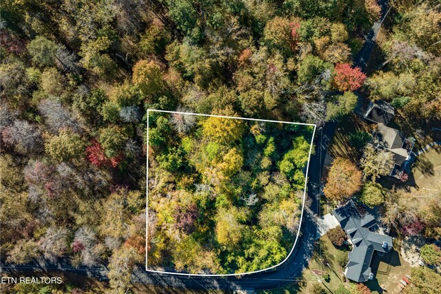 1609 Sequoyah Dr, Mooresburg, TN 37811