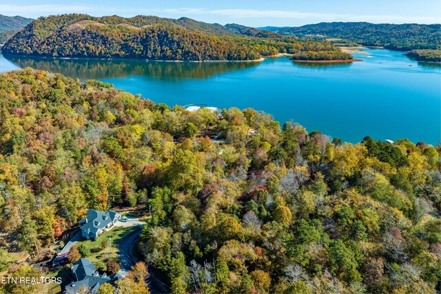 1609 Sequoyah Dr, Mooresburg, TN 37811
