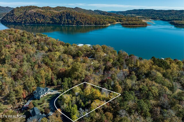 1609 Sequoyah Dr, Mooresburg, TN 37811