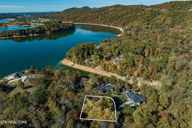 1609 Sequoyah Dr, Mooresburg TN, 37811 land for sale