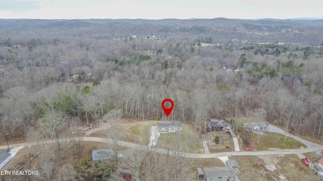 bird's eye view with a mountain view