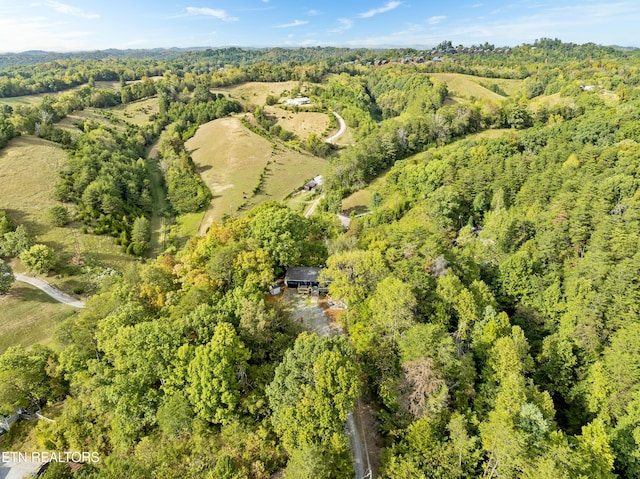 1254 W New Era Rd, Sevierville, TN 37876 - photo 18