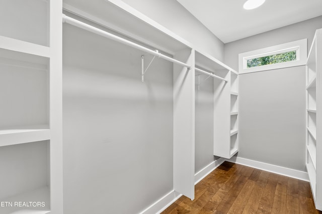 walk in closet with hardwood / wood-style flooring