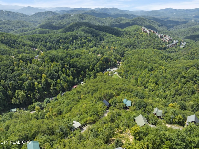 birds eye view of property with a mountain view