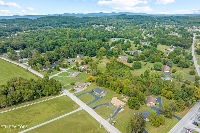 drone / aerial view featuring a mountain view