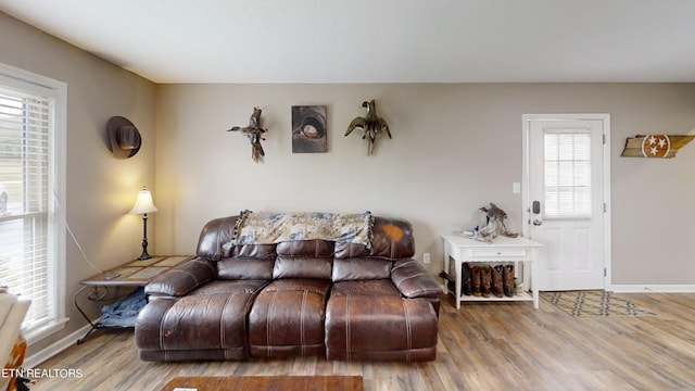 living room featuring hardwood / wood-style flooring