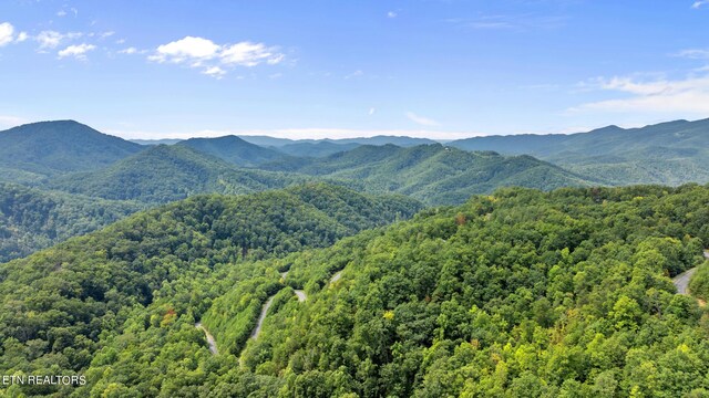 property view of mountains