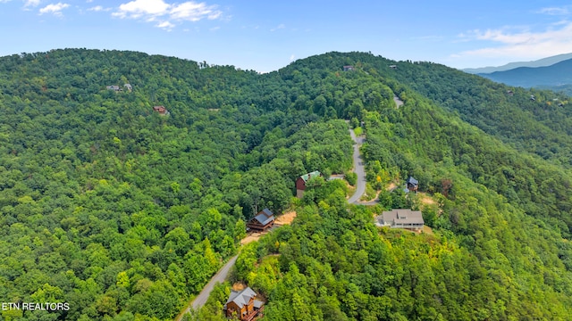 birds eye view of property featuring a mountain view