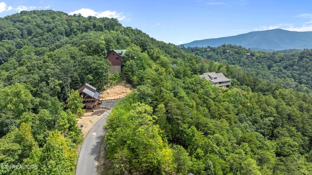 bird's eye view with a mountain view