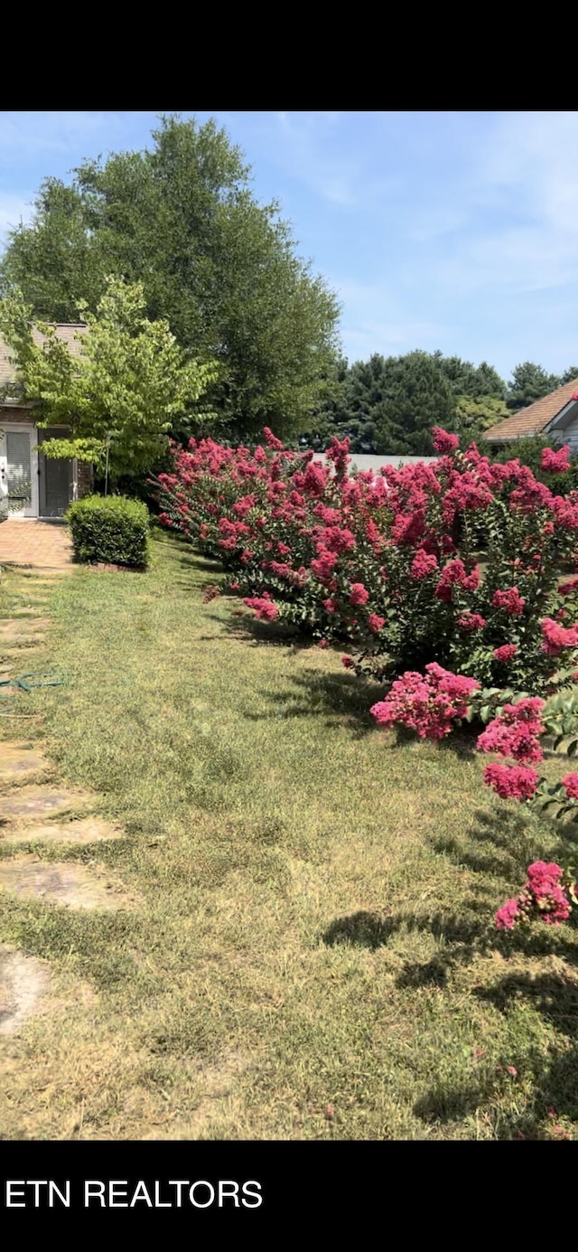 3036 Pennington Cir, Maryville, TN 37803 - photo 22