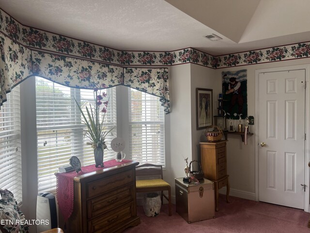 carpeted office space with a textured ceiling