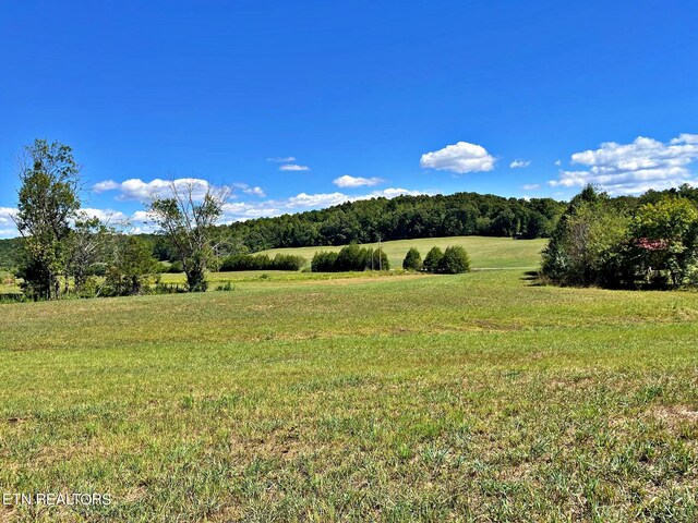 N Nopone Valley Rd, Decatur TN, 37322 land for sale