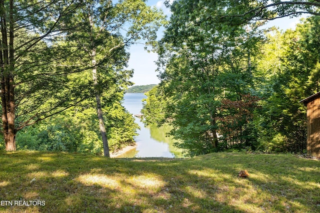 view of water feature