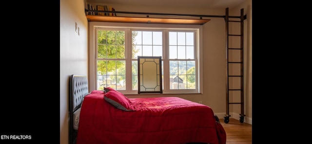 bedroom featuring multiple windows and hardwood / wood-style floors