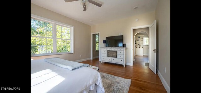 bedroom featuring ceiling fan and dark hardwood / wood-style flooring