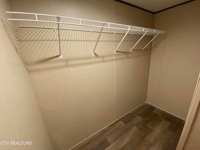 spacious closet featuring wood-type flooring