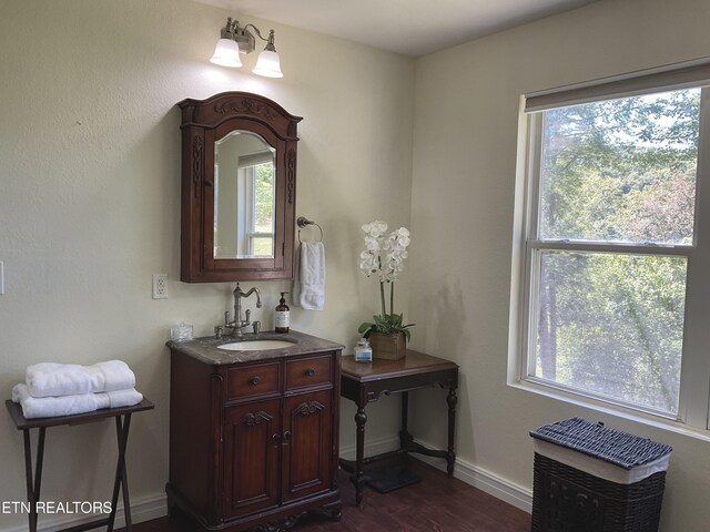 bathroom with vanity, baseboards, and wood finished floors