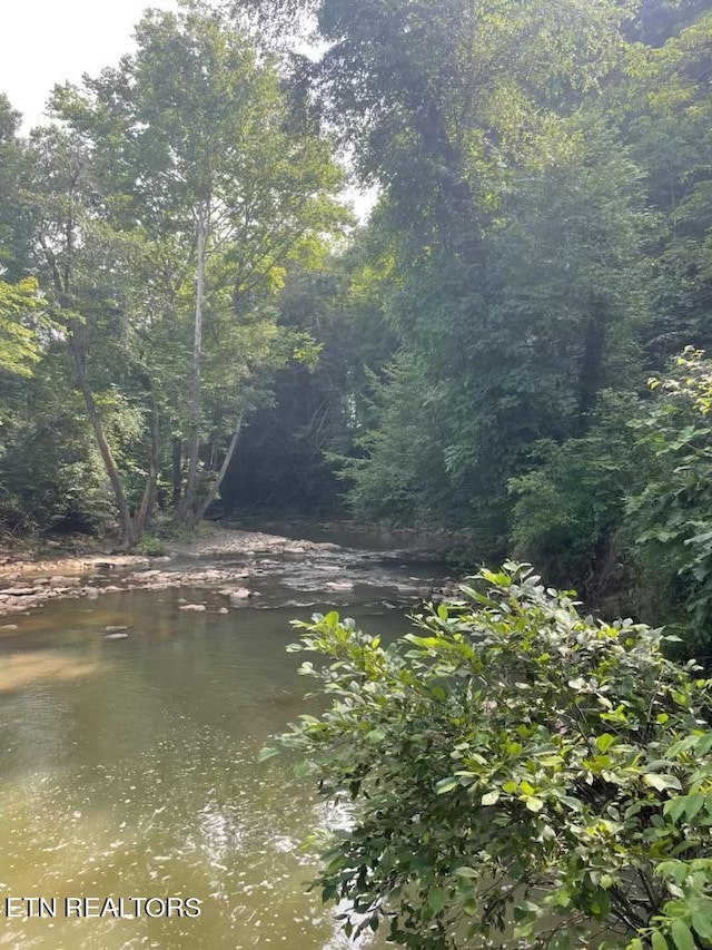 water view featuring a wooded view