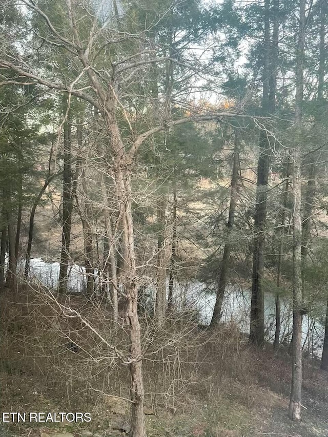 view of landscape with a water view