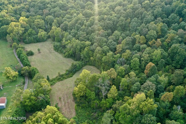 148 Cate Rd, Kingston, TN 37763 - photo 6