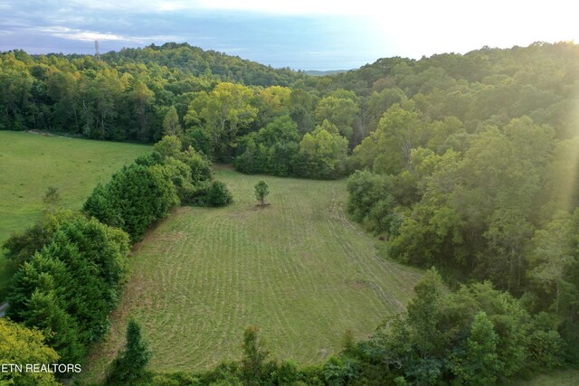148 Cate Rd, Kingston, TN 37763 - photo 8