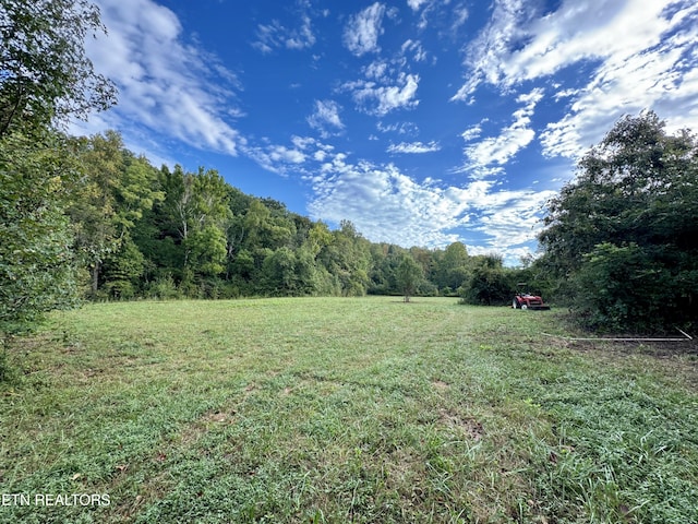 148 Cate Rd, Kingston, TN 37763 - photo 14