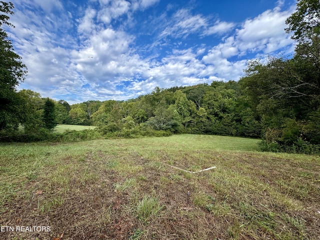 148 Cate Rd, Kingston, TN 37763 - photo 15