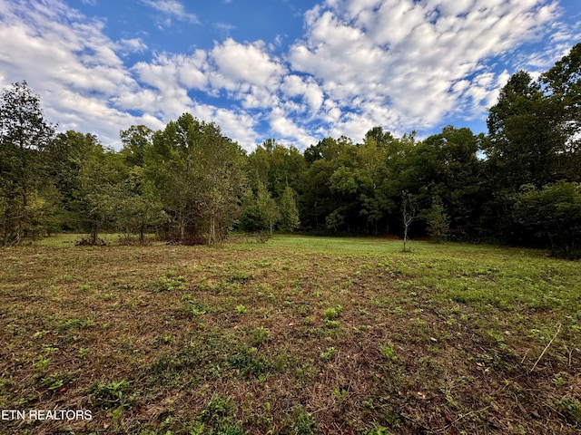 148 Cate Rd, Kingston, TN 37763 - photo 16