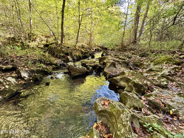 148 Cate Rd, Kingston, TN 37763 - photo 18