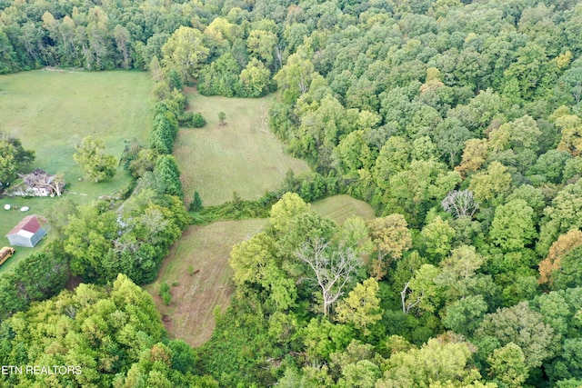 148 Cate Rd, Kingston, TN 37763 - photo 26