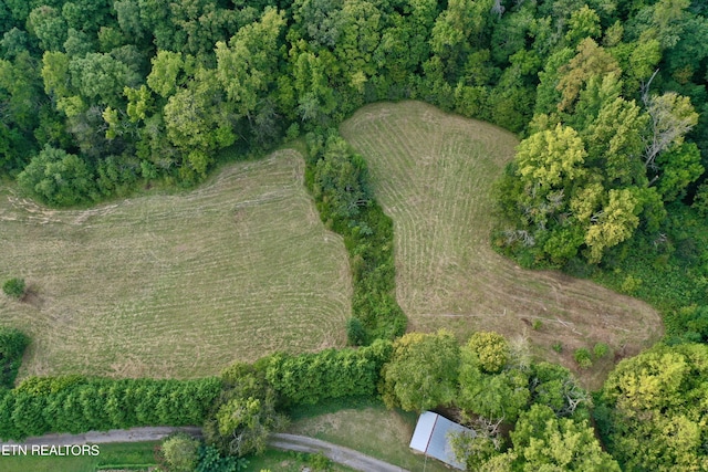 148 Cate Rd, Kingston, TN 37763 - photo 28
