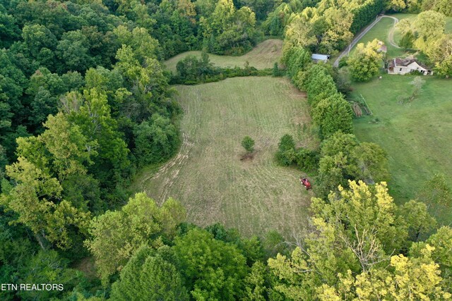 148 Cate Rd, Kingston, TN 37763 - photo 29