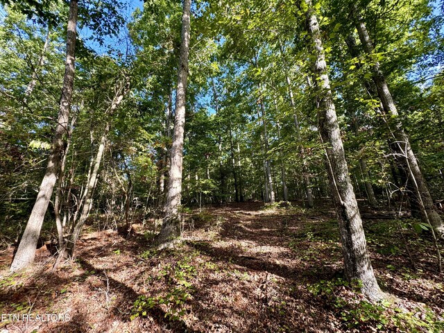 148 Cate Rd, Kingston, TN 37763 - photo 31