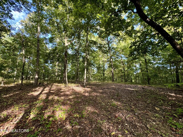 148 Cate Rd, Kingston, TN 37763 - photo 32