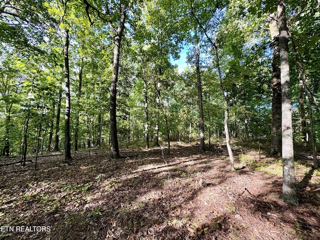 148 Cate Rd, Kingston, TN 37763 - photo 33